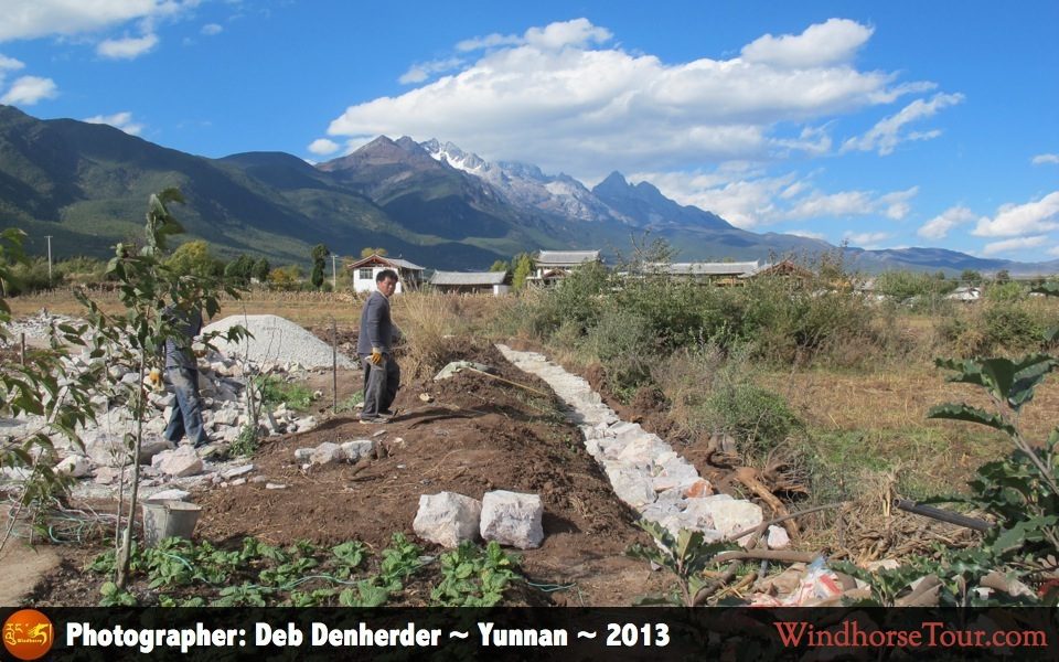 Jade Dragon Snow Mountain - Lijiang - Yunnan